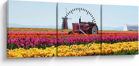 Tulipánfarm képe (órával) (90x30 cm)