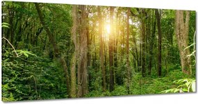 Festmények 120x60 Tájkép park