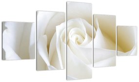 Kép - fehér, rózsák (125x70cm)
