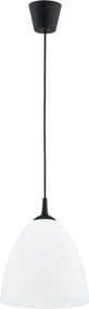 Alfa LERA 61466 Függőlámpa 1x15W/E27