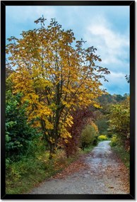 Poszterek keretben 40x60 Őszi fák