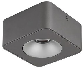 Globo 43100-1 - LED Mennyezeti lámpa HANGARAU LED/6,5W/230V 11,7x11,7 cm