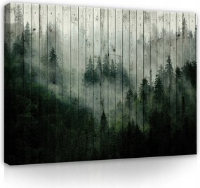 Vászonkép falikép zöld szürke erdő fák köd 100 x 75