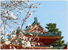 Poszterek 135x100 Virágzó cseresznye Japánban