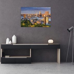 Kép - panoráma Rotterdam, Hollandia (90x60 cm)