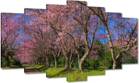 Vászonkép 140x80 Virágzó cseresznye