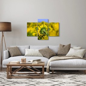 Napraforgó képe (90x60 cm)