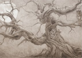 Fotótapéta Flizelina Nappali és Hálószoba Éjjeli madarak 312x219 Ragasztó