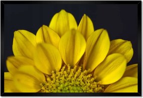 Poszterek keretben 60x40 Nőnap Ajándék Love