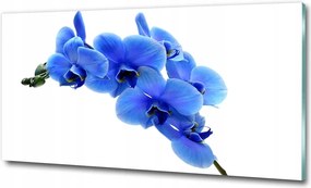 Fotó kép edzett üveg Fehér orchidea 100x70