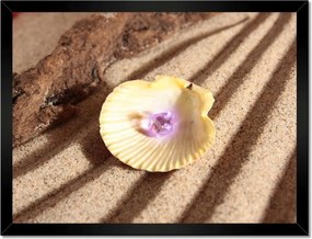 Poszterek keretben 40x30 Kagyló a tengerparton