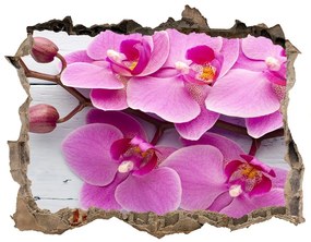 Fali matrica lyuk a falban Orchid a fán nd-k-118409675