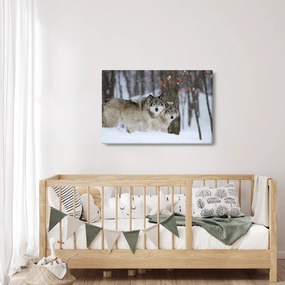 Kép - Farkasok télen (90x60 cm)