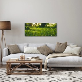 Tájkép - rét (120x50 cm)