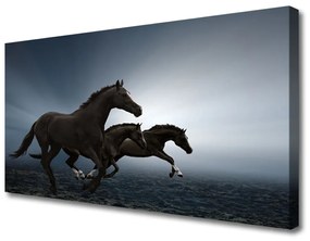 Vászonfotó lovak Állatok 120x60 cm