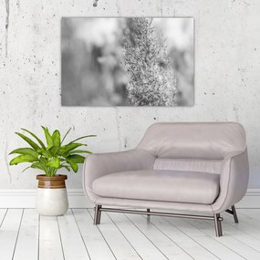 Kép - Boho pampafű (90x60 cm)