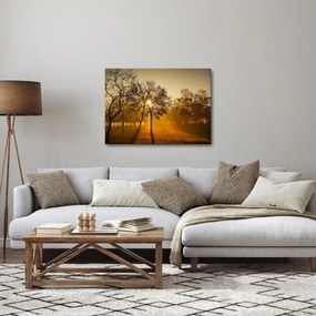 Kép - Napkelte (70x50 cm)