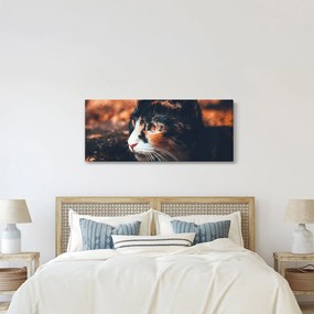 Kép - A macska látképe (120x50 cm)