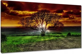 Vászonkép 120x70 Varázslatos fa tájkép