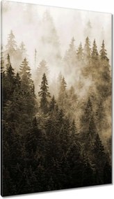 Vászonkép 80x120 Tájkép Szépia Hegyek Köd