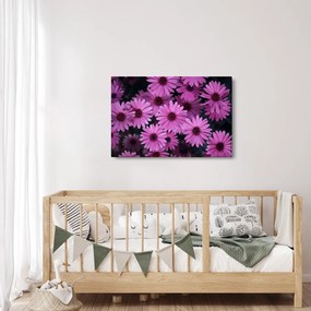 Rózsaszín virágok képe (90x60 cm)
