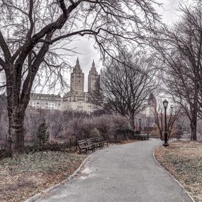 Poszter 50x50cm Ösvény a központi parkon át 2, Assaf Frank