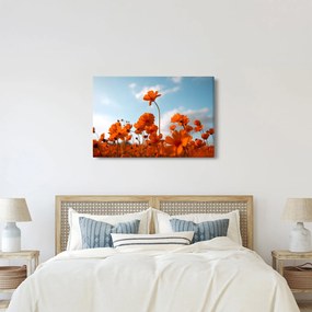 Kép - Réti virágok (90x60 cm)
