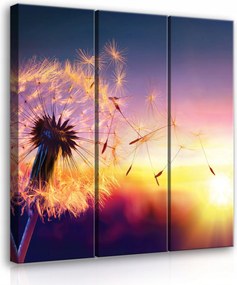 Vászonkép 90x100 Naplemente pitypang magok könnyedség természet nyugalom meleg