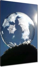 Vászonkép 80x120 Fagyasztott gömb Karácsony