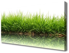 Vászonkép falra Grass Nature Water Plant 100x50 cm