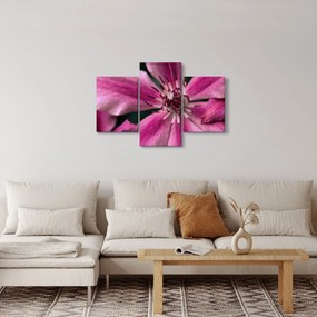 Rózsaszín flamingóvirág képe (90x60 cm)