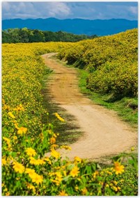 Poszterek 70x100 Falusi tejút