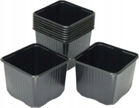 Palántanevelő kaspó fekete 11x11cm 10db