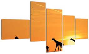 Modern kép - zsiráfok (150x85cm)