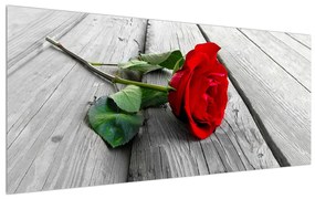 Rózsa kép (120x50 cm)