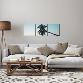 Kép - Pálmafa Balin (órával) (90x30 cm)