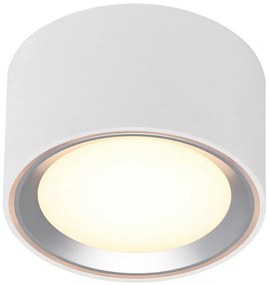 Nordlux - LED Dimmelhető mennyezeti lámpa FALLON LED/5,5W/230V