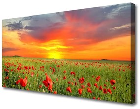 Canvas kép Pipacsok Nature Plant Sun 120x60 cm