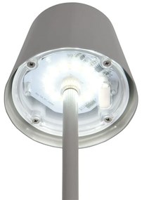 Szürke LED asztali lámpa fém búrával (magasság 21 cm) Diaz – Trio
