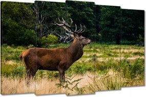 Vászonkép 150x95 Óriás szarvas Tájkép