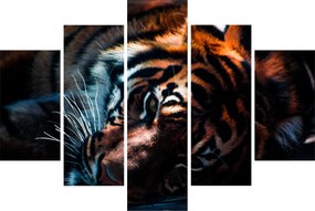 Egy fekvő tigris képe (150x105 cm)