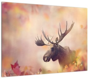 Kép - jávorszarvas az őszi levelekben (70x50 cm)