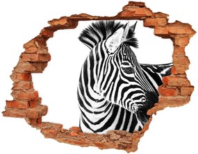 Lyuk 3d fali matrica Zebra hó nd-c-121577688