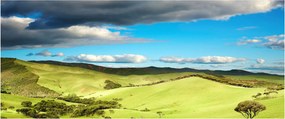 Kép - Zöld táj dombokkal (120x50 cm)