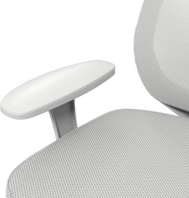 Vinsetto irodai szék, ergonomikus íróasztali szék forgófunkcióval, állítható magasságú, szürke