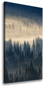 Feszített vászonkép Köd az erdőben ocv-134224571