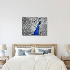 Kék páva képe (üvegen) (70x50 cm)