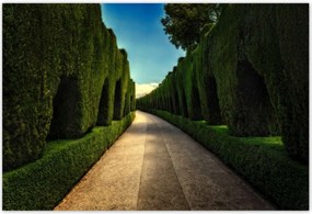 Poszterek 200x135 Tájkép Látvány