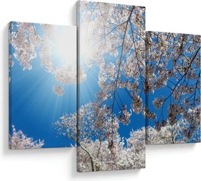 Kép - Cseresznyevirág (90x60 cm)