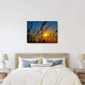 Kép - naplemente a réten (70x50 cm)